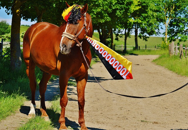 更包括团队 更包括团队