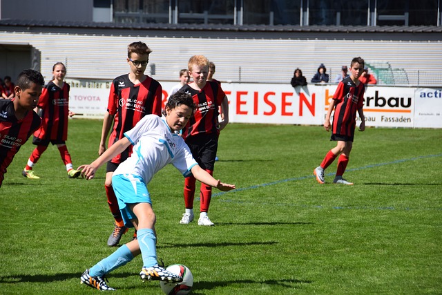 通体系不仅 通体系不仅